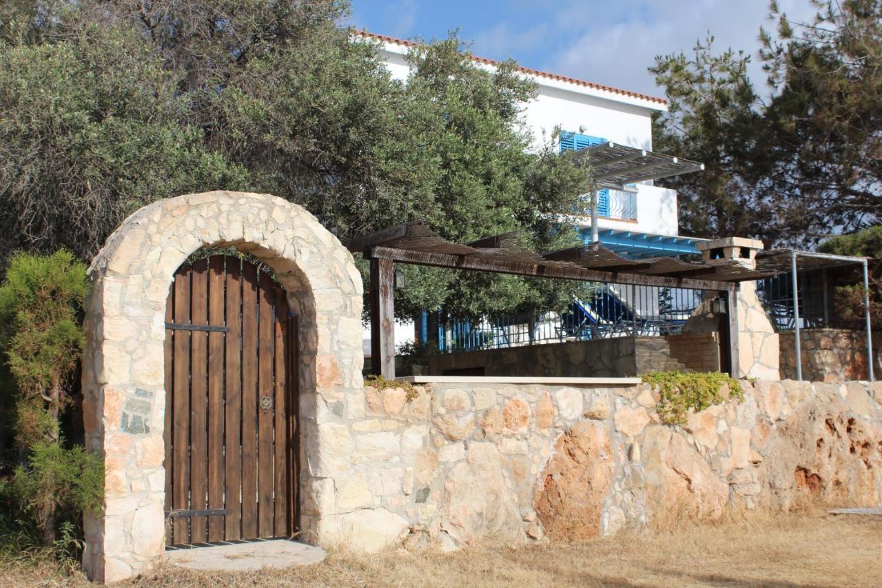 Olive Beach Villa Pegeia Exteriér fotografie