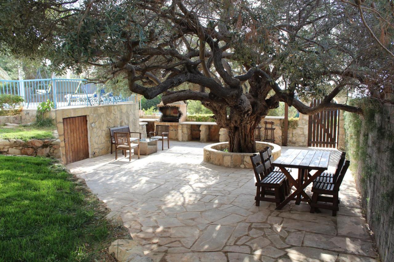 Olive Beach Villa Pegeia Exteriér fotografie