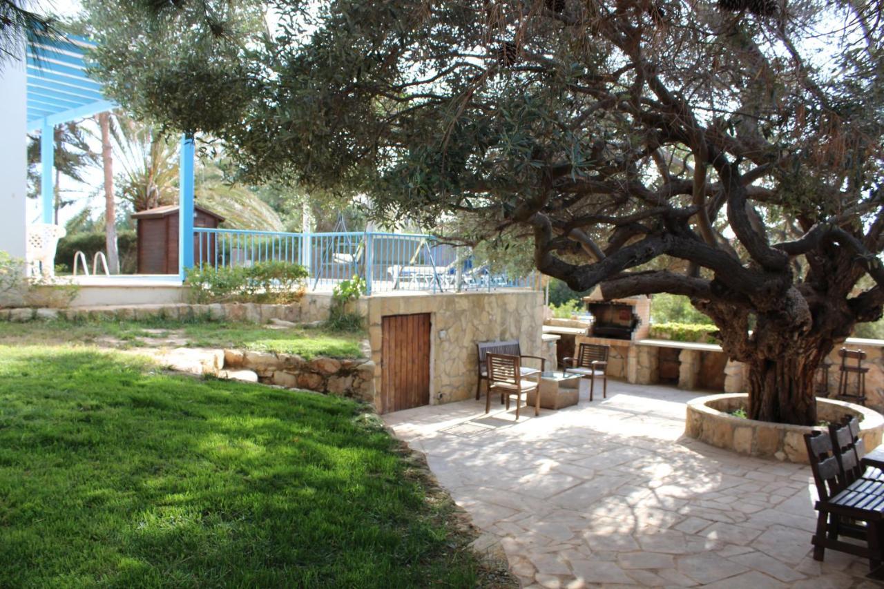 Olive Beach Villa Pegeia Exteriér fotografie