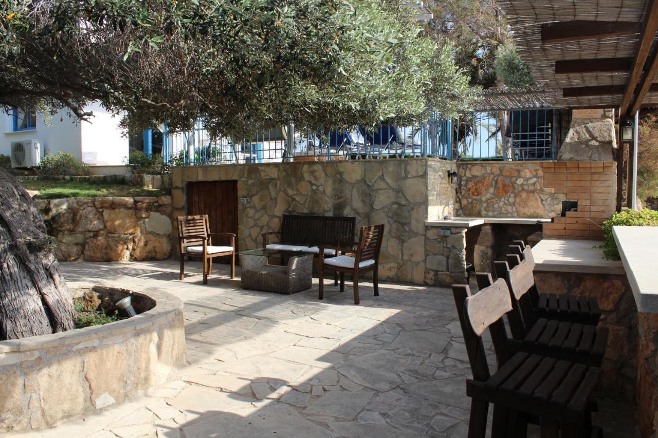 Olive Beach Villa Pegeia Exteriér fotografie