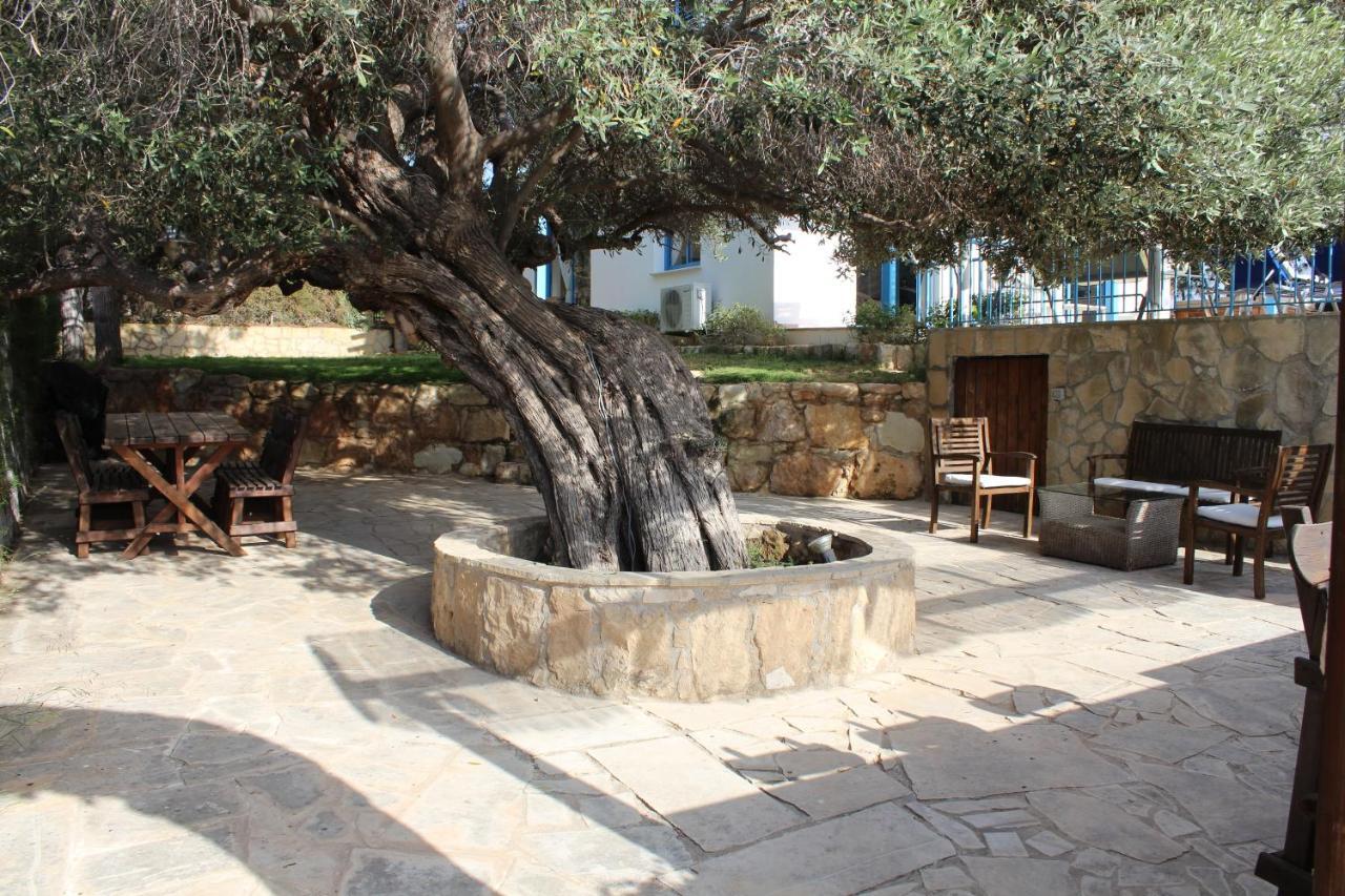 Olive Beach Villa Pegeia Exteriér fotografie