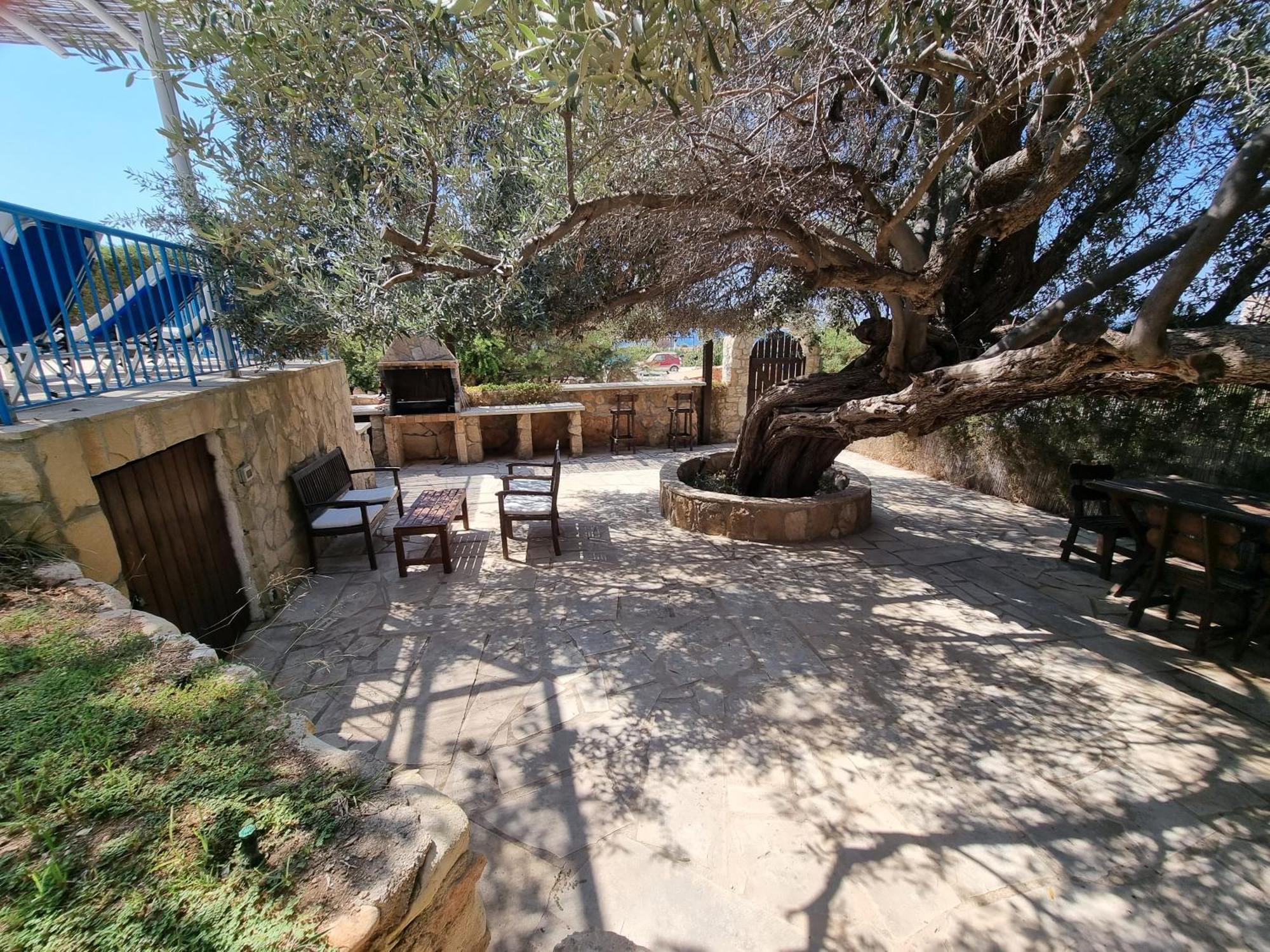 Olive Beach Villa Pegeia Exteriér fotografie