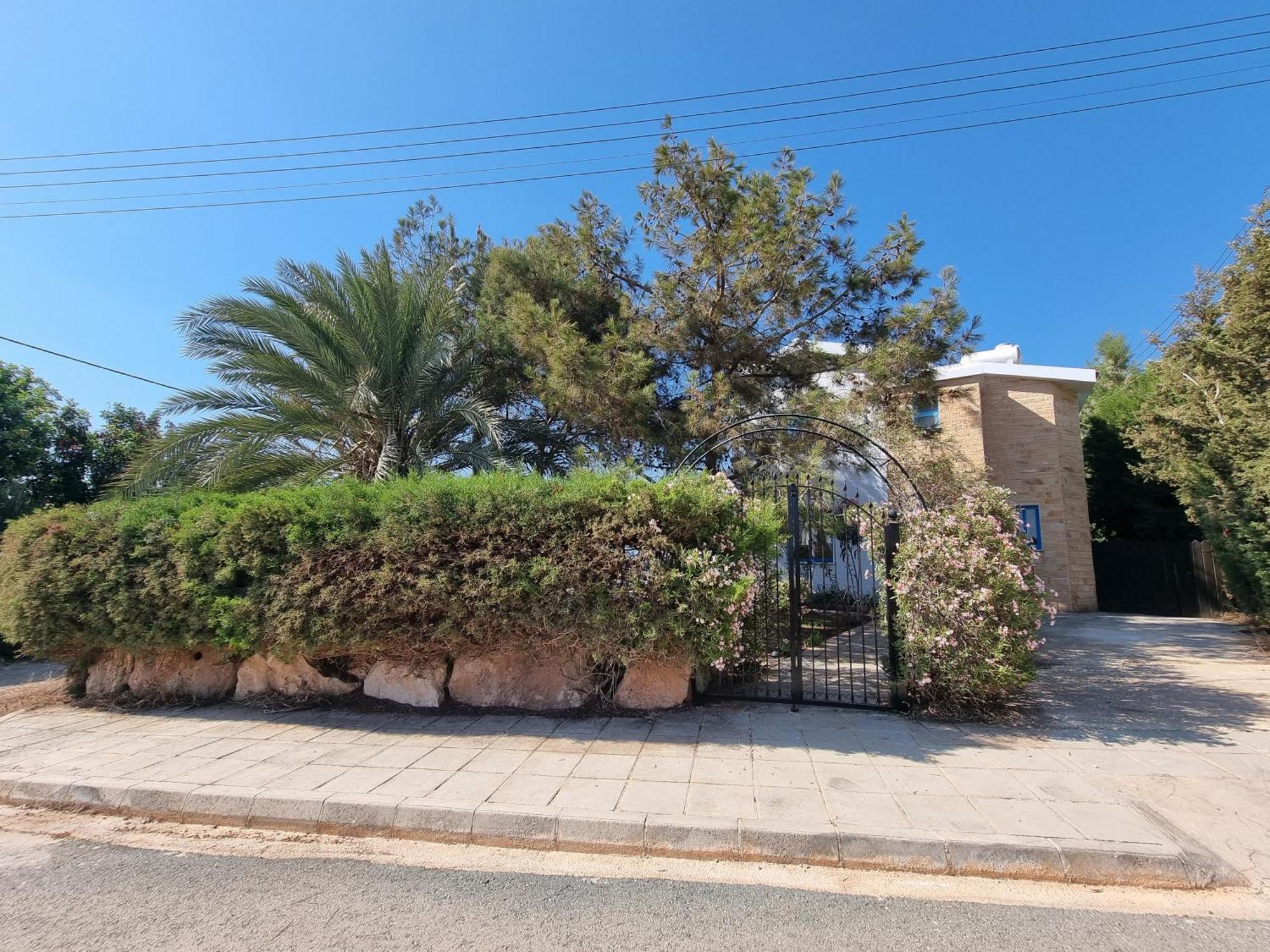 Olive Beach Villa Pegeia Exteriér fotografie