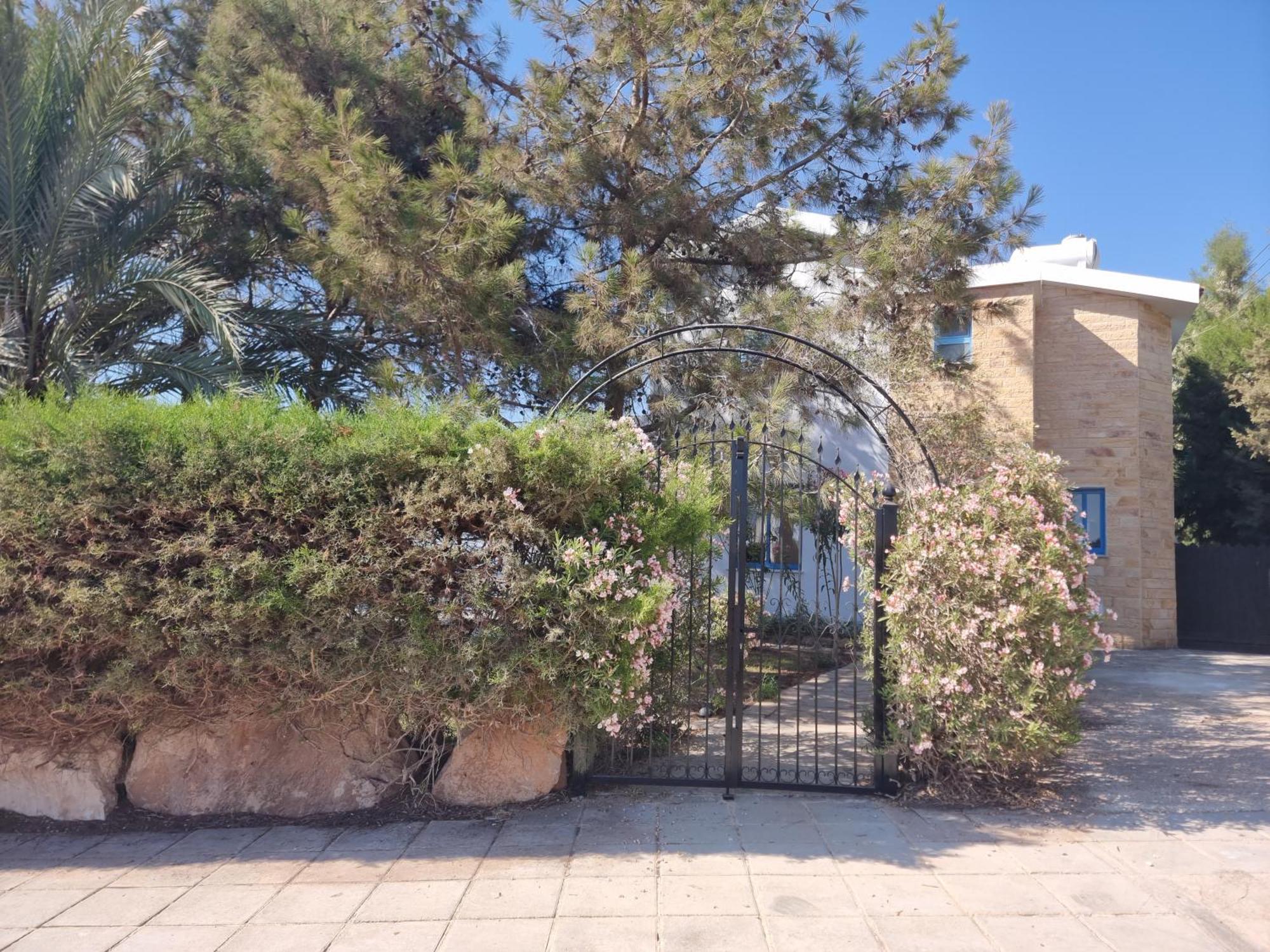 Olive Beach Villa Pegeia Exteriér fotografie