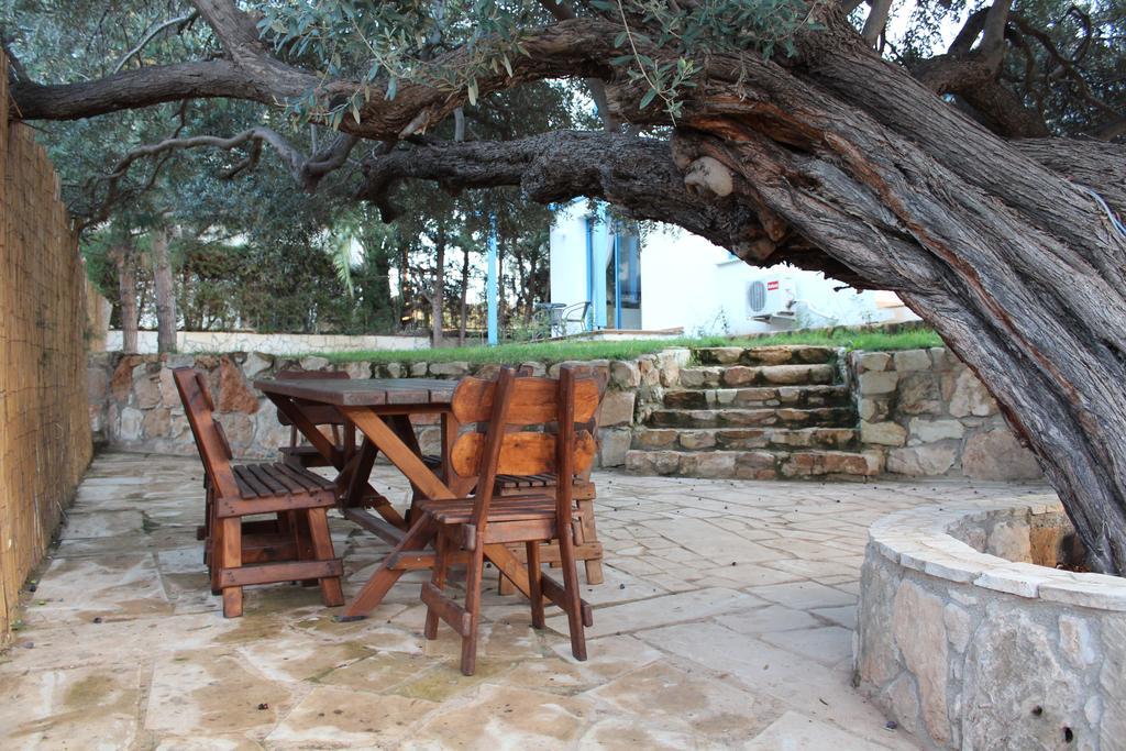 Olive Beach Villa Pegeia Pokoj fotografie