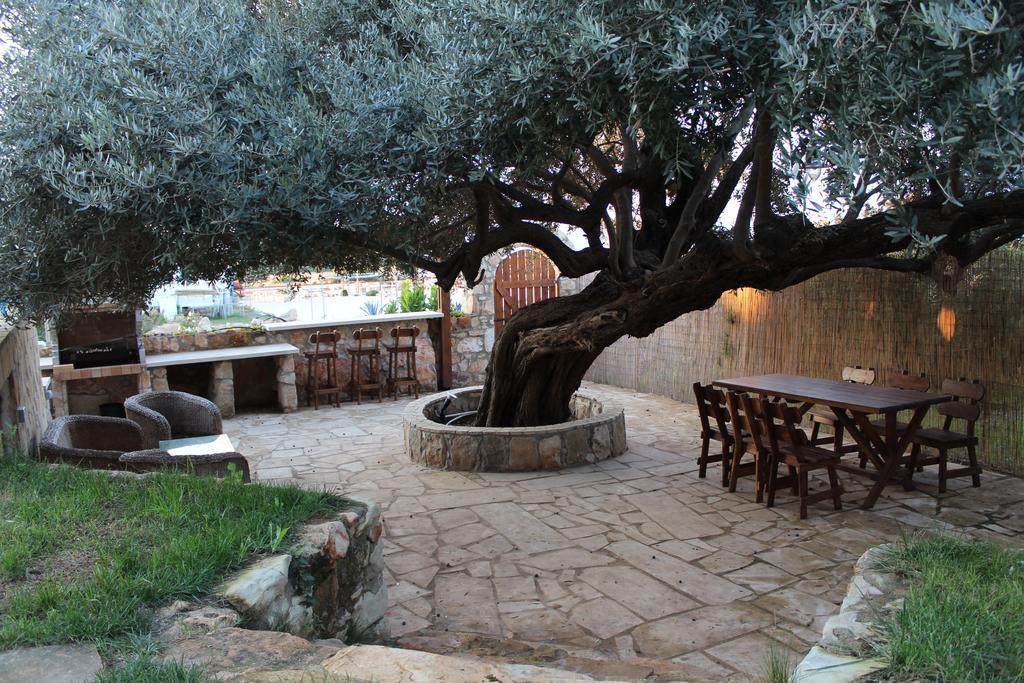 Olive Beach Villa Pegeia Pokoj fotografie