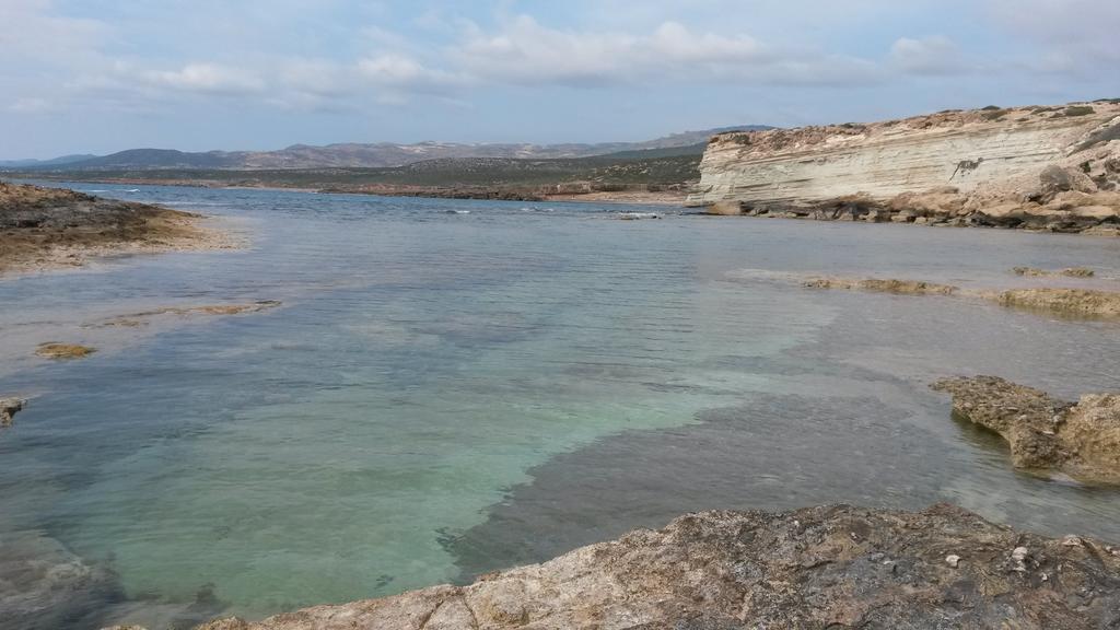 Olive Beach Villa Pegeia Exteriér fotografie